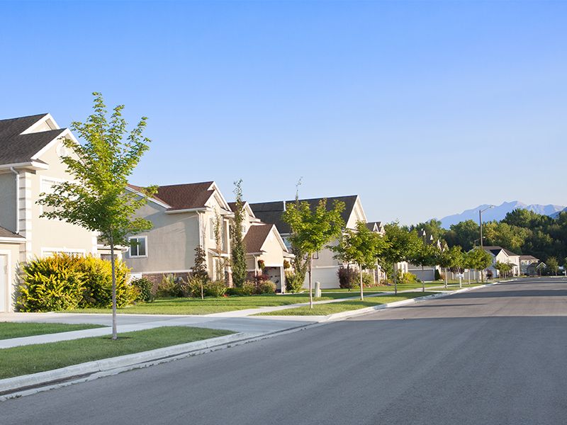 quiet street in suburb neighborhood